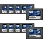 Patriot P210 SATA 3 256GB SSD 2.5 inch Internal Solid State Drive 10 Pack, Lot of 10 - P210S256G2510