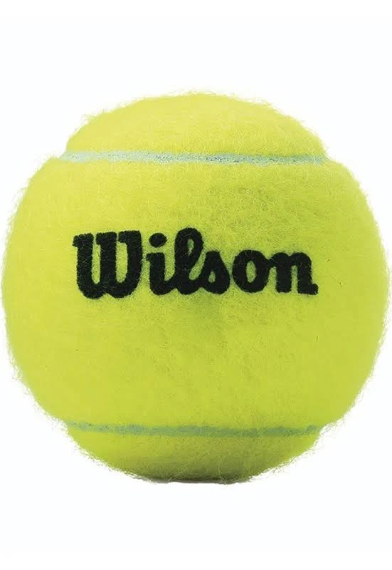 Wilson Championship Tennis Balls