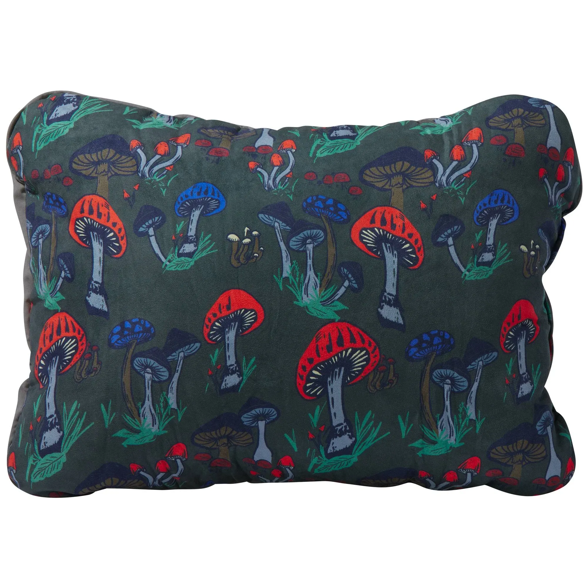 Therm a Rest Compressible Pillow