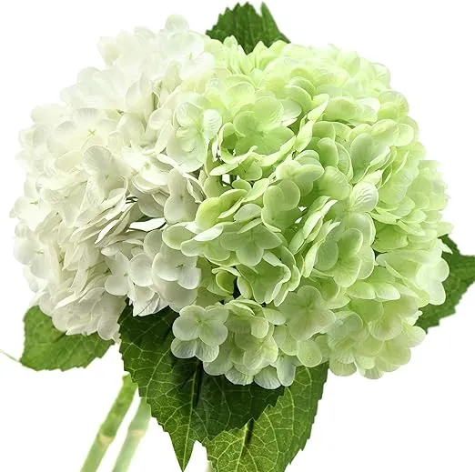 FiveSeasonStuff Real Touch Silk Hydrangea Flowers, 2 Large Long Stem Artificial ...