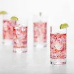 Fortessa Paris Iceberg Beverage Glass Set of 6