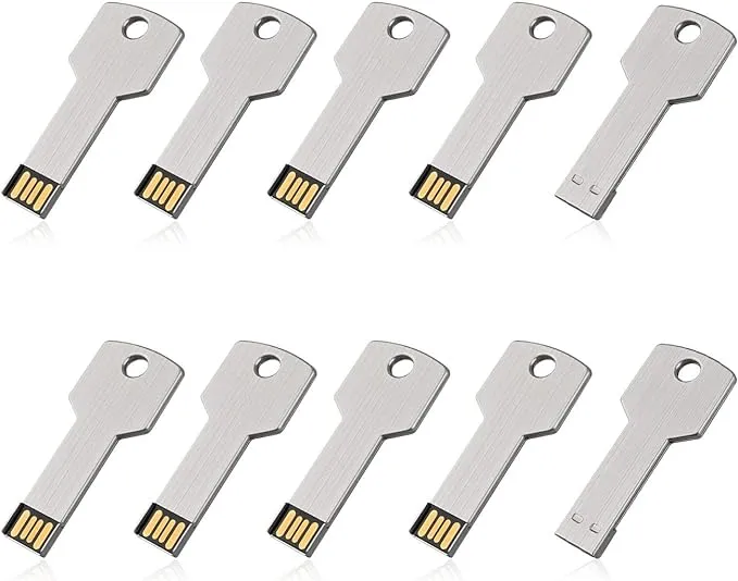 RAOYI 10 Pack 2GB USB Flash Drive USB 2.0 Metal Key Shape Memory Stick Thumb Drive Pen Drive-Silver