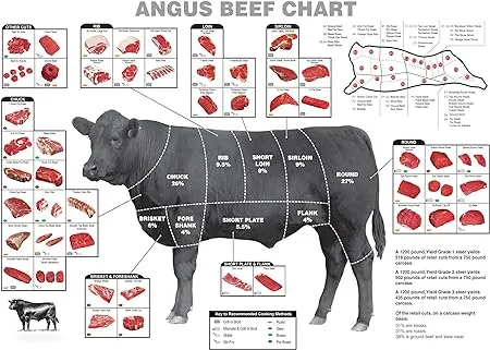 Decor Print Store Laminated Poster: 24x30 Angus Beef Cuts Butcher Charts How To Cook Photo Picture Artwork Art Print Wall Hanging