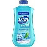 Dial Antibacterial Liquid Hand Soap Refill, Spring Water, 52 fl oz Pack of 3