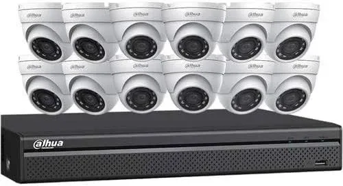 Dahua N5164E124 4MP Network Security System (12 Eyeball cameras + NVR)