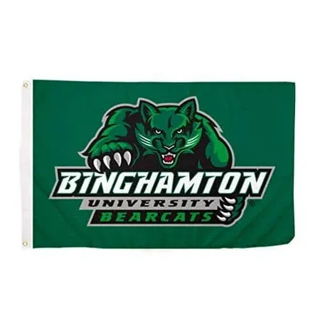 Desert Cactus Binghamton University Bearcats NCAA 100% Polyester Indoor Outdoor 3 ...