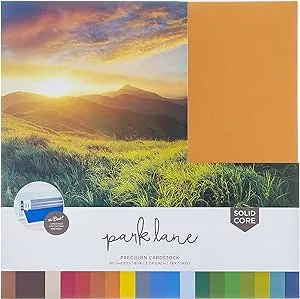 Park Lane Cardstock 12x12 Variety Pack, 60 Sheets | 80lb Premium Textured Scrapbook Paper, Solid Core | Acid Free Double Sided Card Stock for Paper C