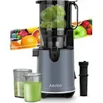 Aeitto Cold Press Juicer