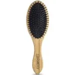 Giovanni Bamboo Oval Hair Brush