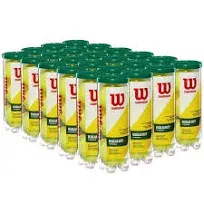 WILSON Championship Tennis Balls