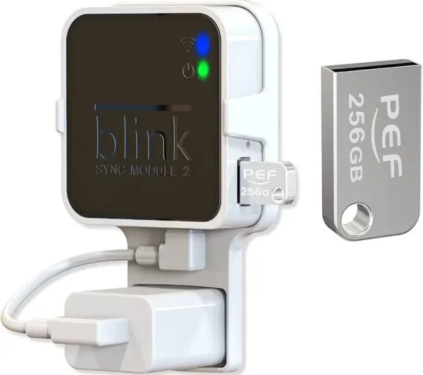 256Gb Usb Flash Drive with Mount for Blink Security Camera