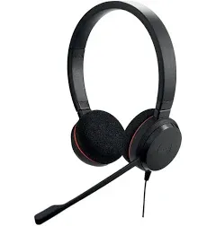 Jabra Evolve 20 Headset - UC Stereo