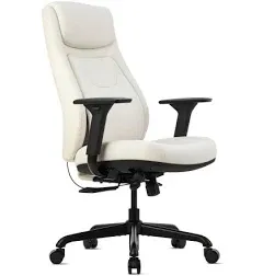 Posturelift Ergonomic Office Chair Adjustable Lumbar Support, Seat Depth, Leather Chair, Adjustable Armrest, High Back Home Office Desk Chairs for Posture and Back Pain.