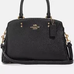 Coach Mini Lillie Carryall Handbag