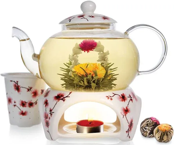 Teabloom Cherry Blossom Teapot & Flowering Tea Set - Stovetop Safe Glass Teapot