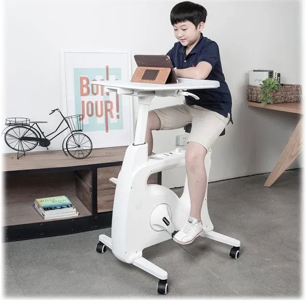 V9 FLEXISPOT Desk Exercise Bike