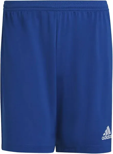 adidas CASC Navy Training Shorts *Required