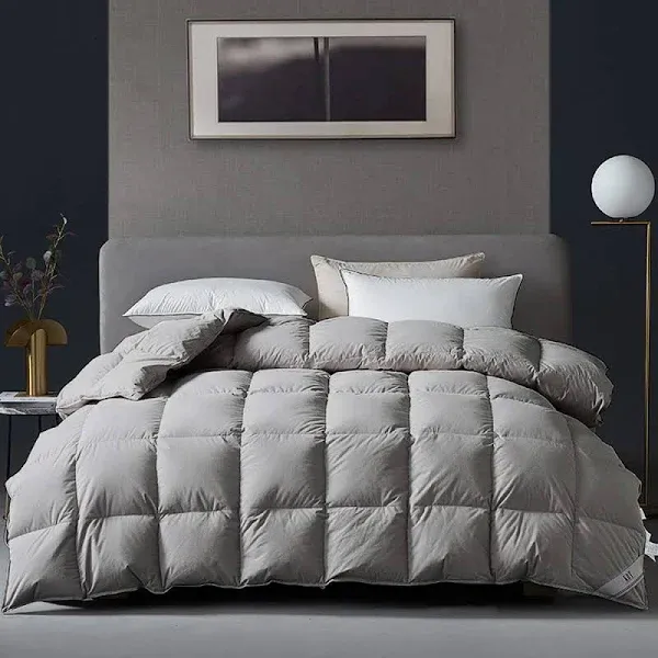  Luxurious Goose Feathers Down Comforter - Thickened Queen Winter Grey