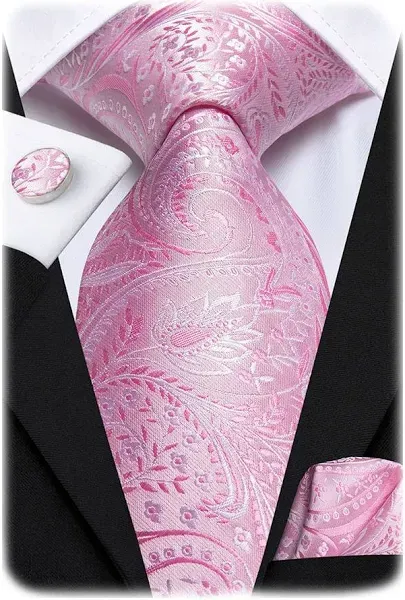 Hi-Tie Silk Paisley Ties for Men Necktie Pocket Square Cufflinks Set Foral Tie Sets Formal Business