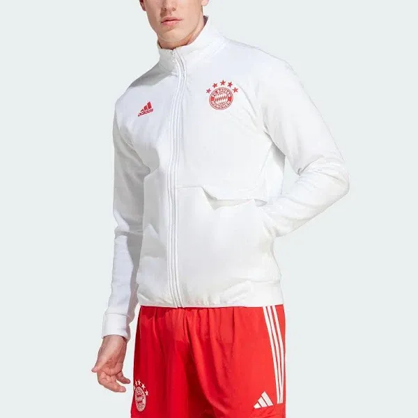 Men's adidas Bayern Munich Anthem Jacket 23/24