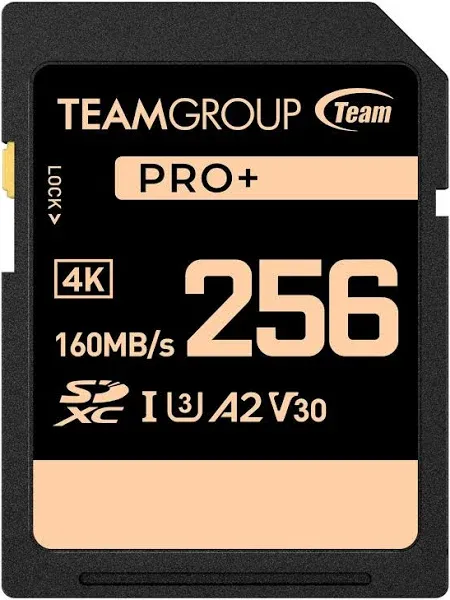 TEAMGROUP PRO 1TB UHS-I U3 A2 V30 4K UHD Read/Write Speed up to 160/120MB/s SDXC Memory Card for Professional Vloggers, Filmmakers, Photographers & Content Curators TPPSDX1TIA2V3001