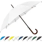 SoulRain 48" Arc Classic Wood Handle Auto Open Windproof Clear Unbreakable Stick Rain Umbrella