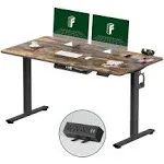 FLEXISPOT EN1 Electric Stand Up Desk 55 x 28 Inches Whole-Piece Deskto