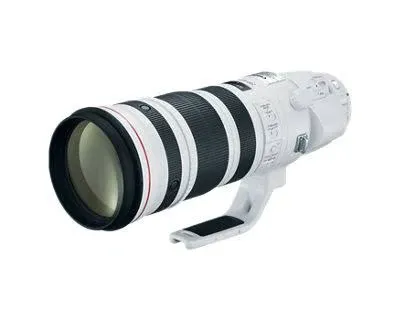 Canon EF 200-400mm f/4L IS USM Extender 1.4x Lens