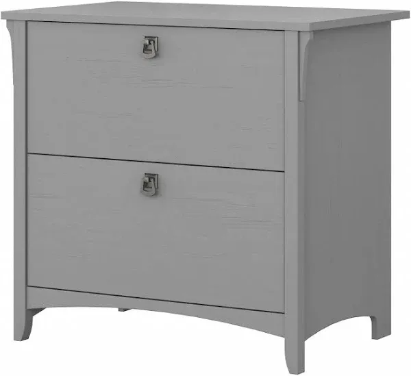 Bush Furniture Salinas 2 Drawer Lateral File Cabinet