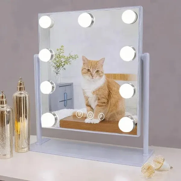 MKupView Vanity Mirror with Lights Makeup Mirror with Lights 9 Dimmable Bulbs Hollywood Lighted Makeup Mirror Detachable 10x Magnification 3