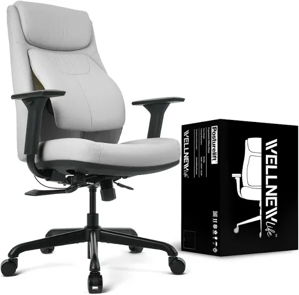 Wellnewlife Posturelift Ergonomic Office Chair