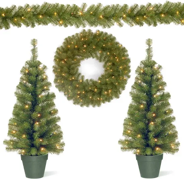 National Tree Company 3' Pre-Lit LED Battery Operated Evergreen Assortment