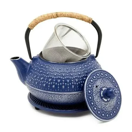 Cast Iron Teapot with Infuser Japanese Tea Kettle