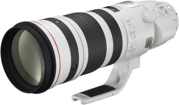 Canon Cameras US 5176B002 EF 200-400mm f/4L is USM Extender 1.4X