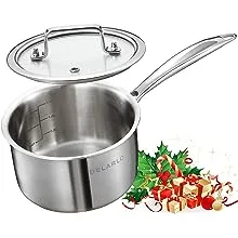 DELALRO Tri-Ply Stainless Steel 2.5 QT Saucepan with Lid, Heavy Duty Induction Pot, Fast Even Heat, Fuel Saving, Induction Cookware, Kitchen and Dining Steel Saucepan