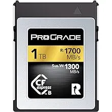 ProGrade Digital 256GB CFexpress Type B Memory Card (Gold)