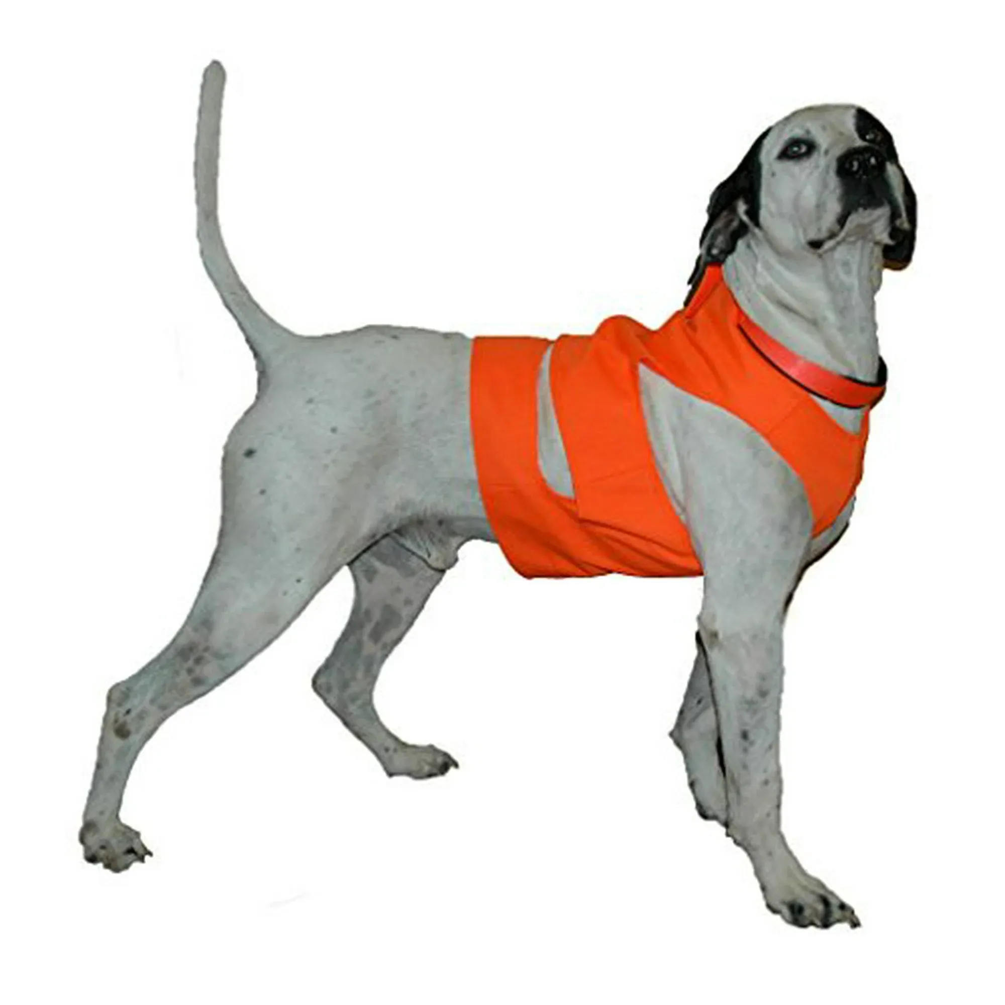 Mud River Brush and Briar Chest Protector for Dogs