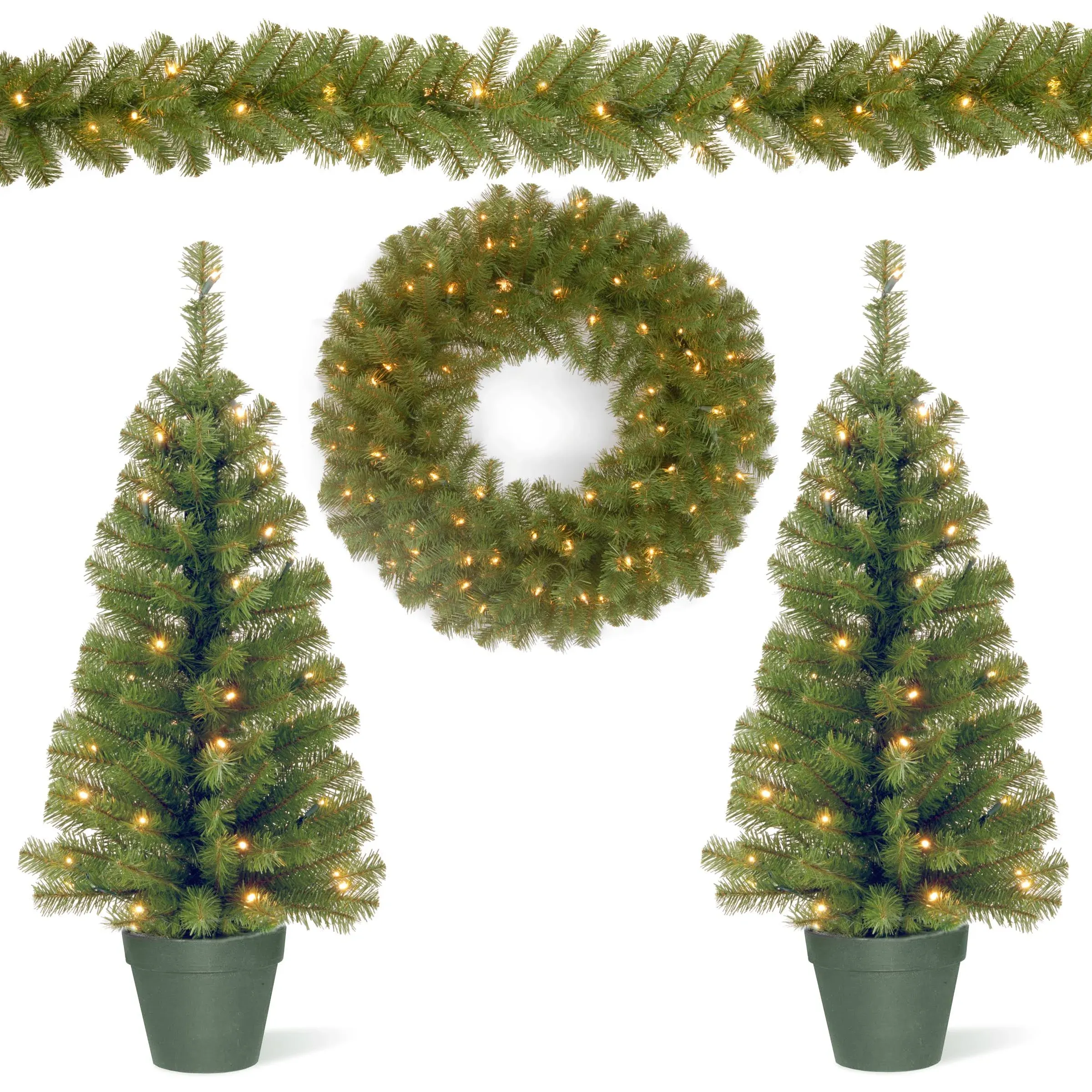 National Tree Company 3' Pre-Lit LED Battery Operated Evergreen Assortment