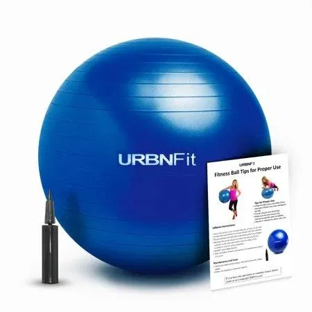 URBNFit Exercise Ball Purple 65cm Inflatable Fitness Gym Workout w Air Pump