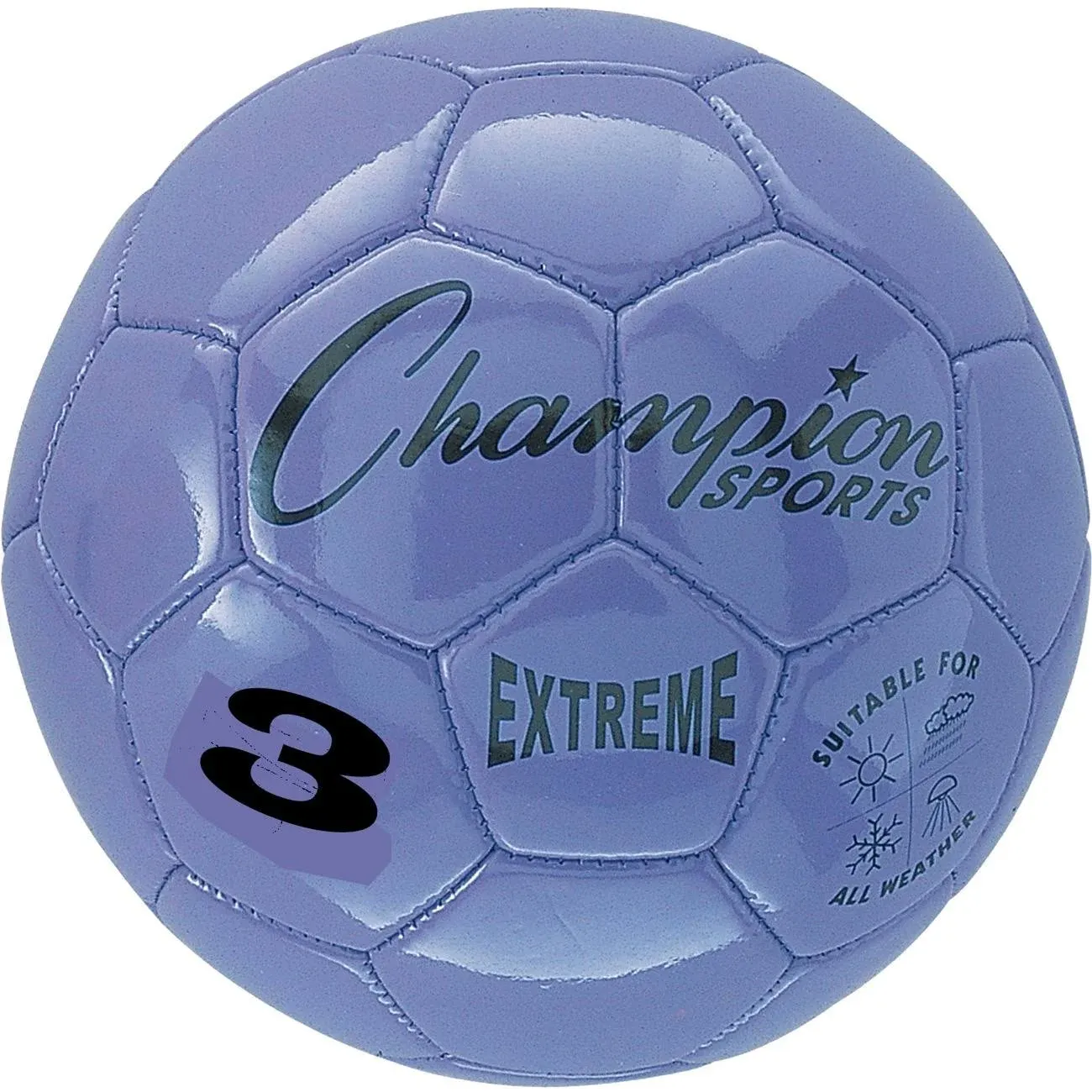 Champion Sports Extreme Soccer Ball Size 3 Purple