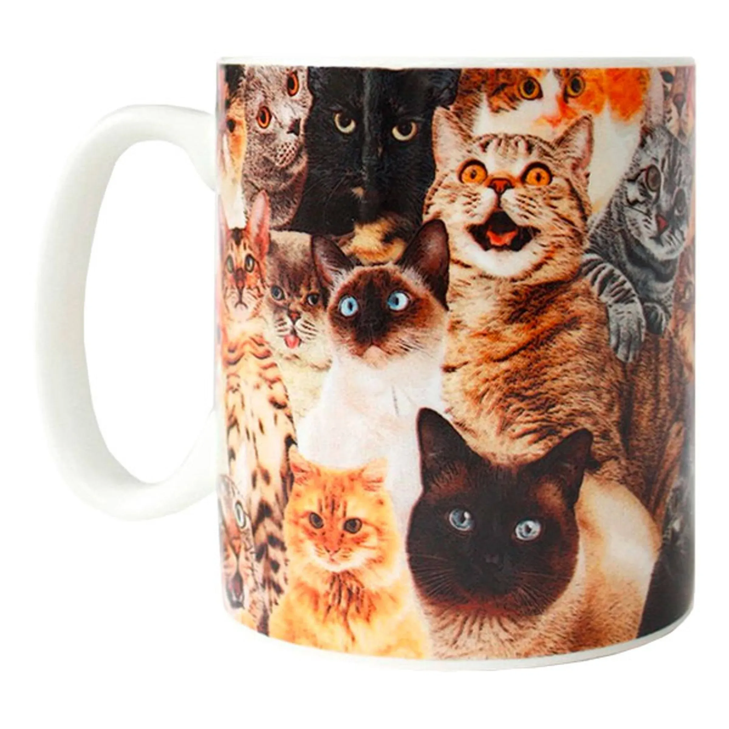 Crazy Cat Mug