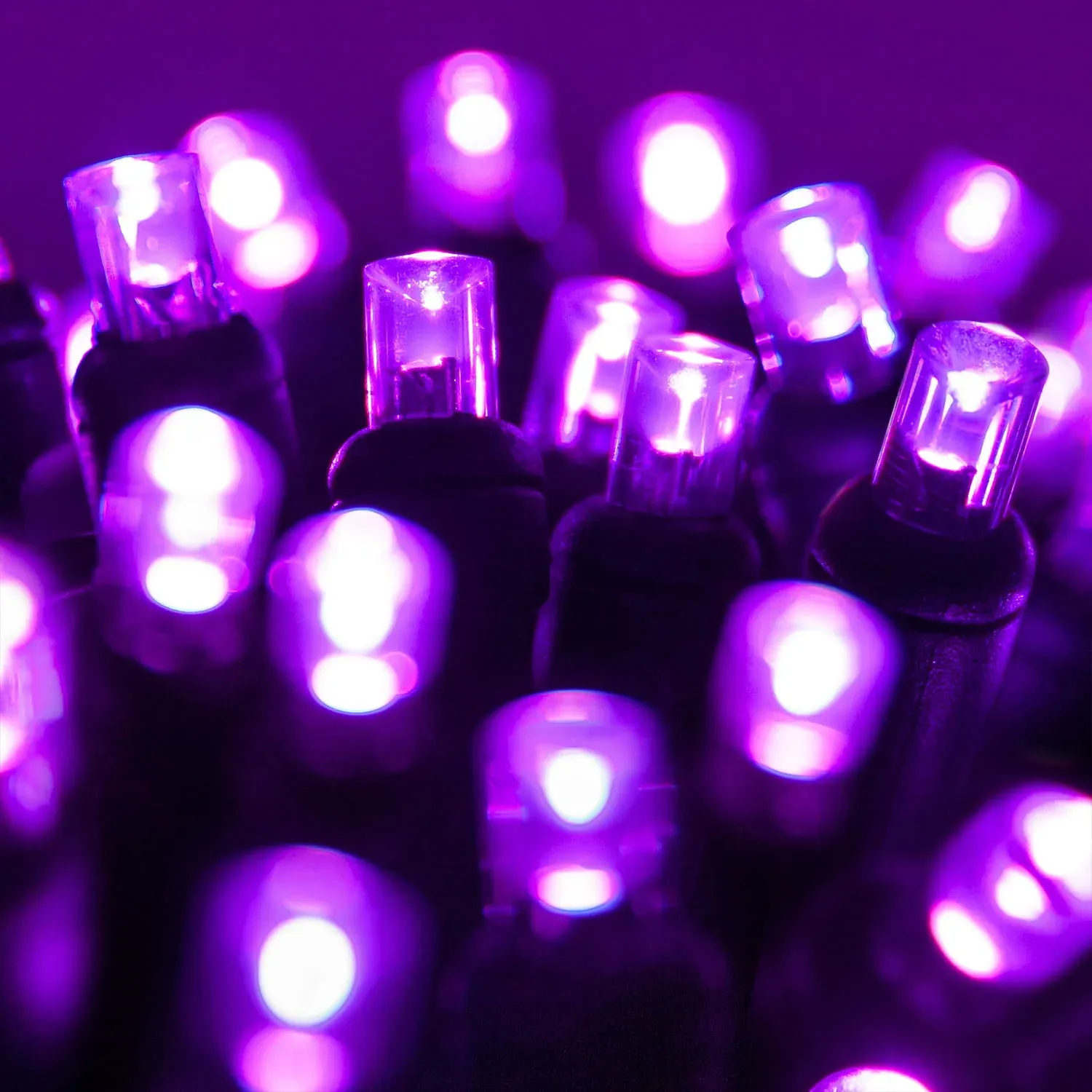 70 5mm Purple LED Halloween Lights