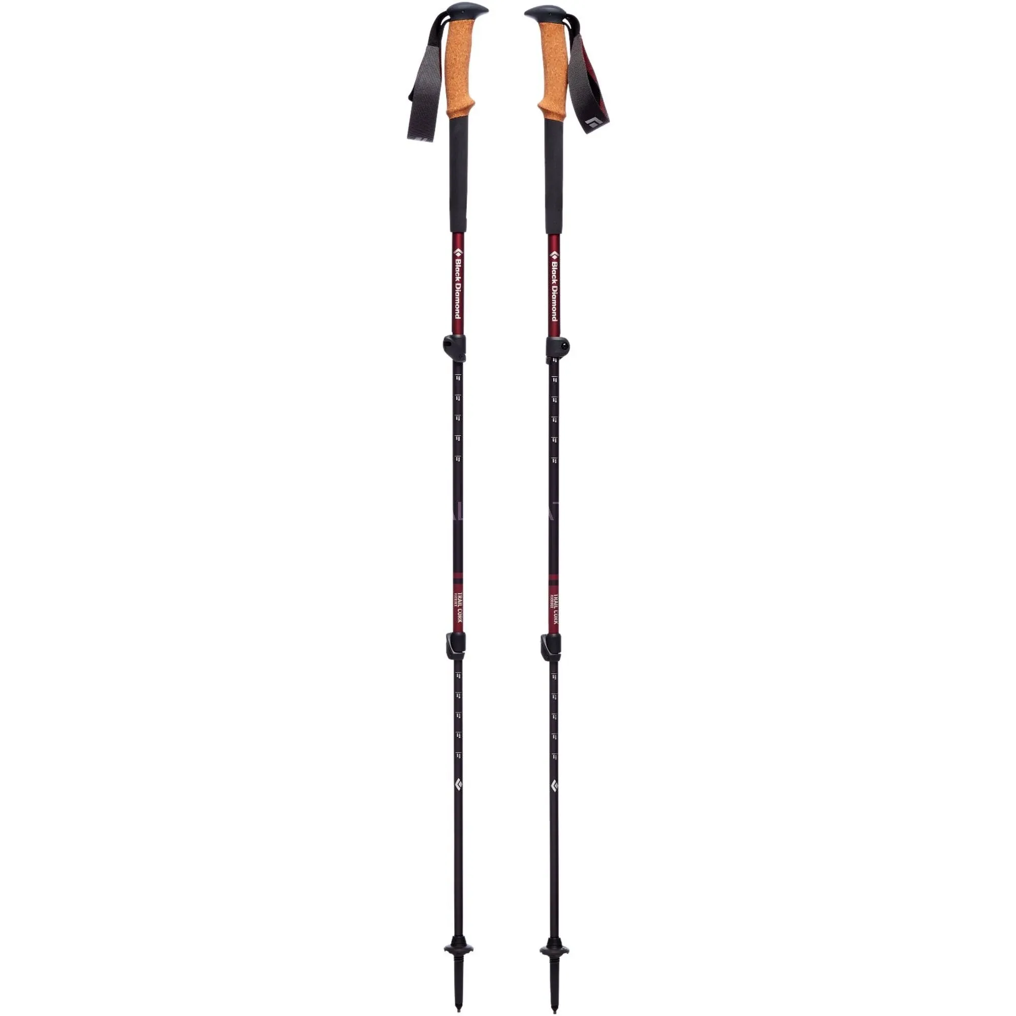 Black Diamond Trail Cork Trekking Poles - Women's Alpine Lake