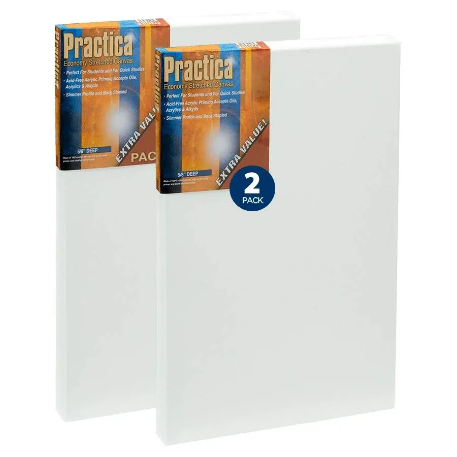 Practica Economy Stretch Cotton Canvas - 2-Pack - 12x24"