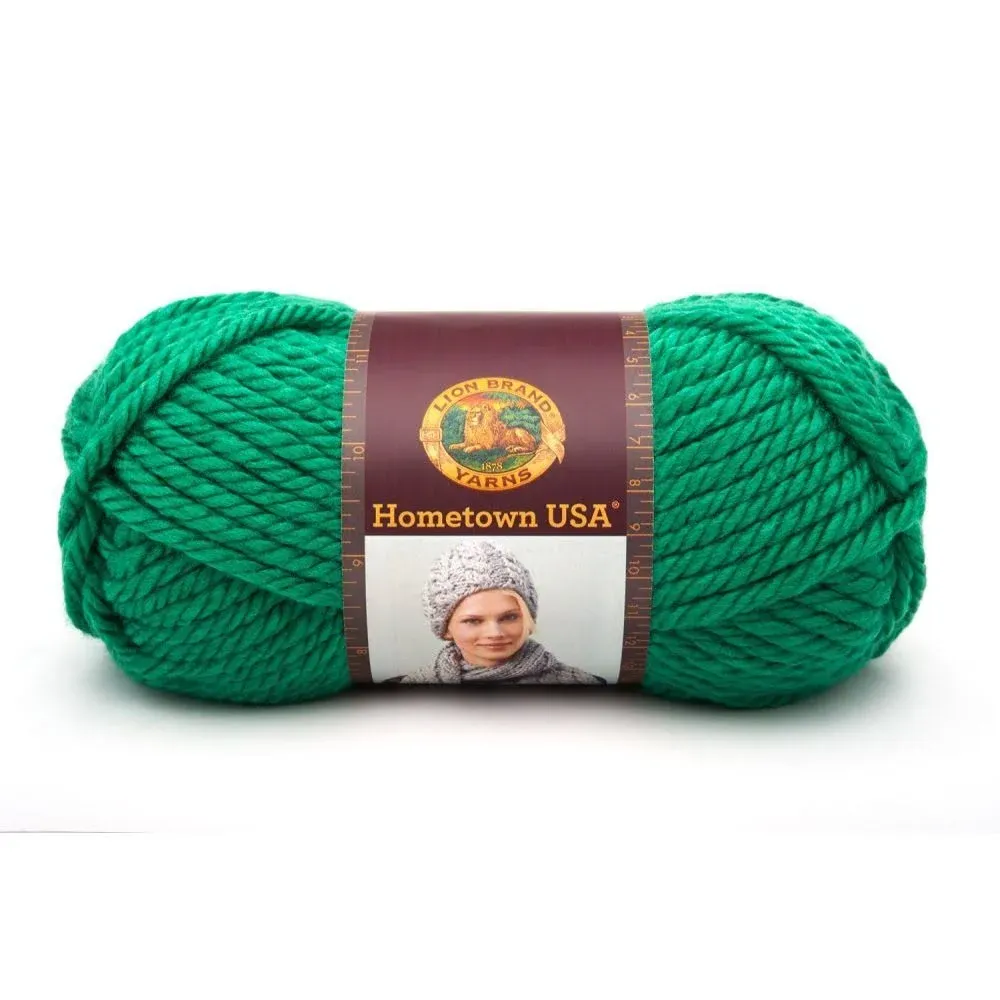 Lion Brand Hometown USA Yarn (Green Bay Green)