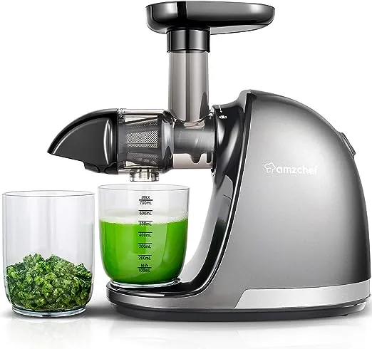 Slow Juicer AMZCHEF Masticating Juicer Machines with Reverse Function Cold Press Juicer with Brush