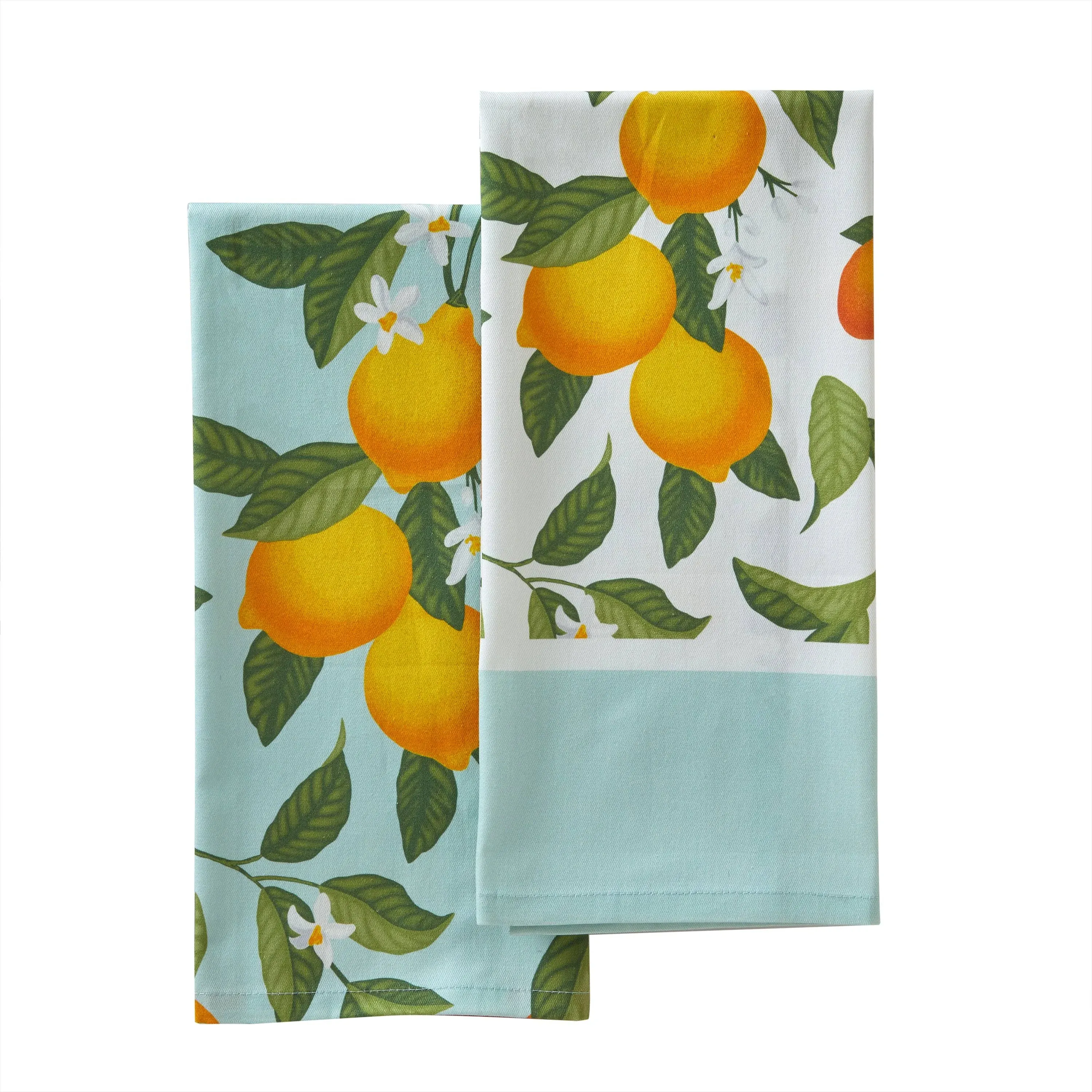 SKL Home by Citrus Grove Dish Towel - 2-Pack - 18x28", Green