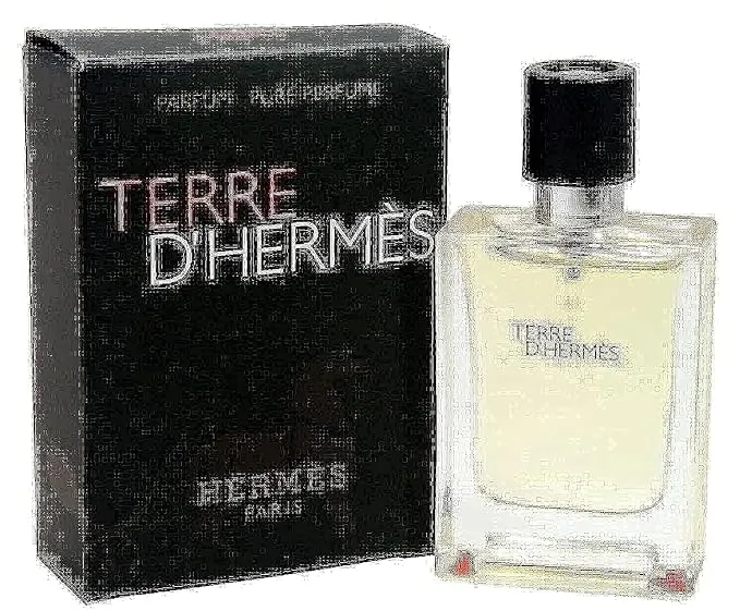 Hermes Terre D'Hermes Pure Parfum Spray