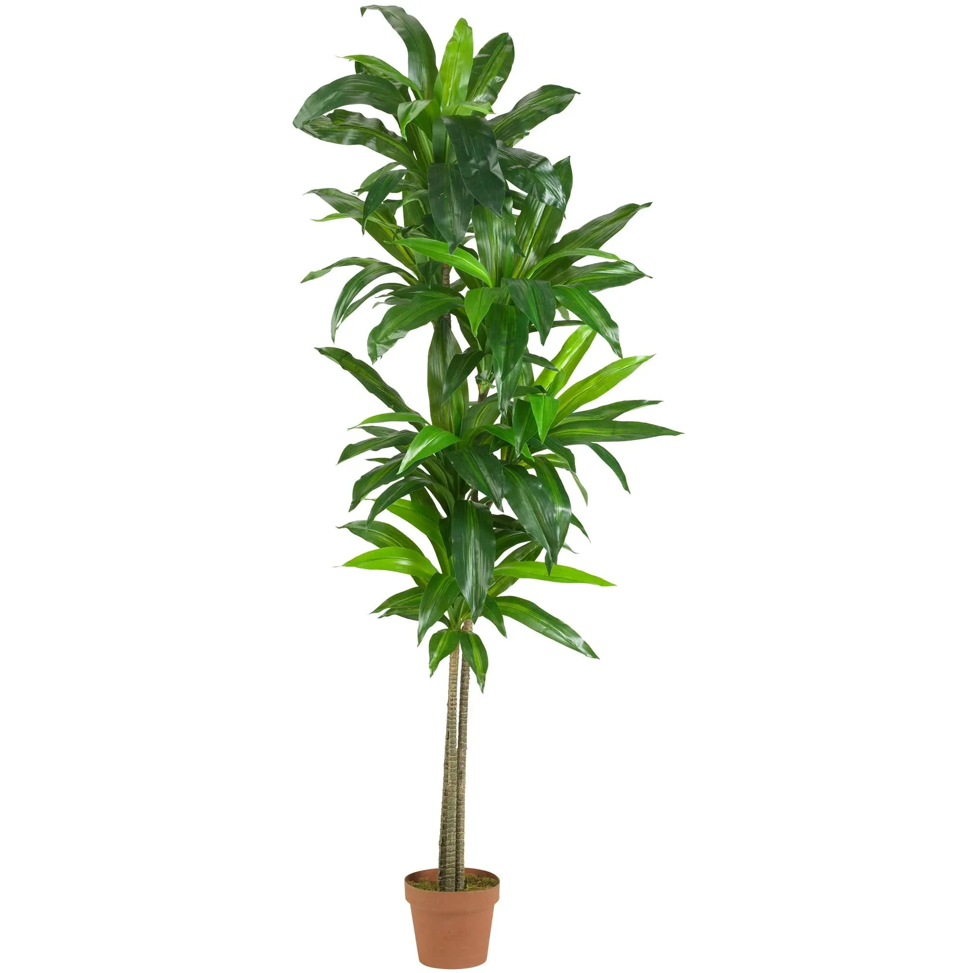 Nearly Natural Dracaena Silk Plant